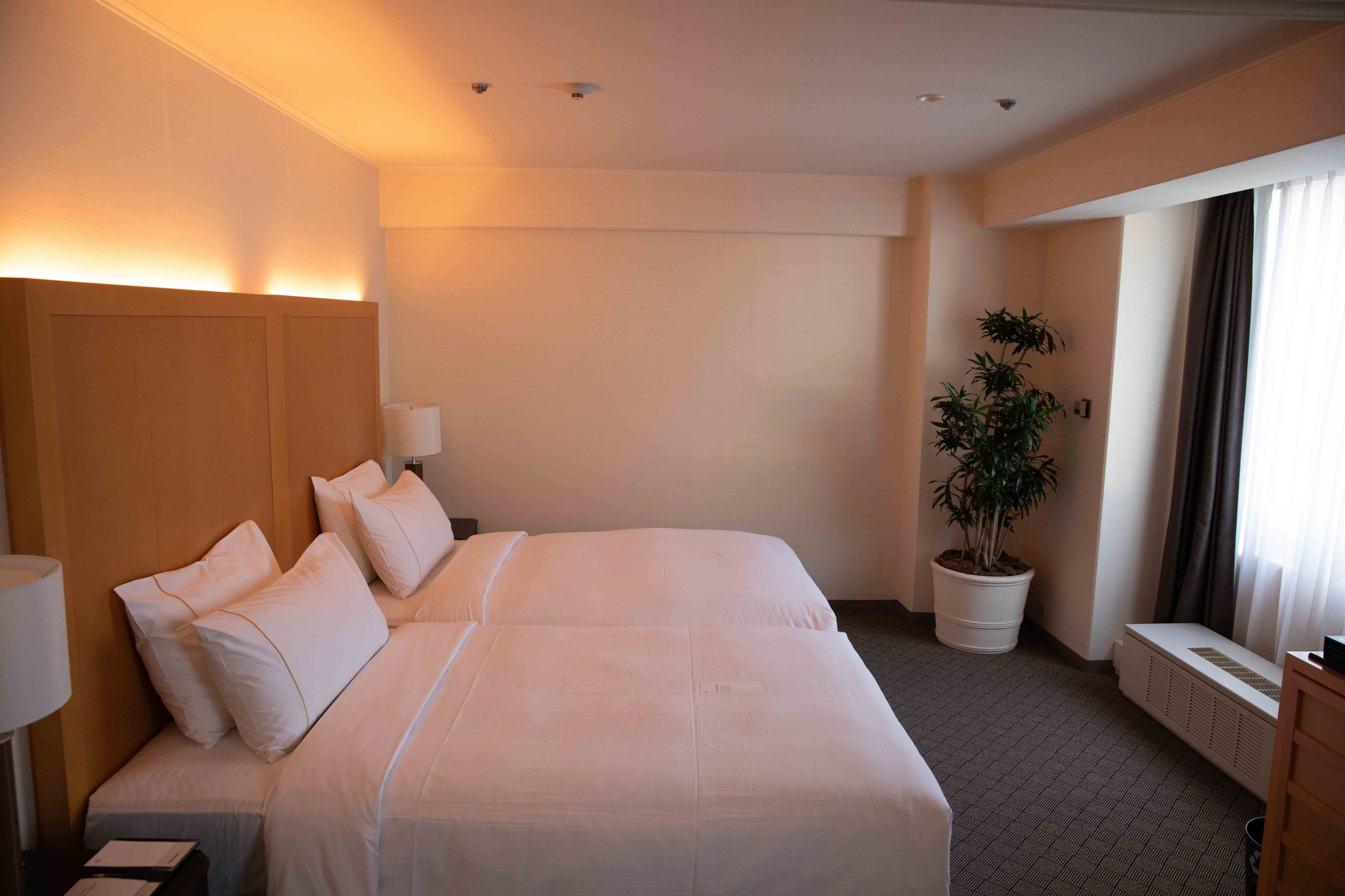 #2020ȫ#涼ϲ Sheraton Miyako Hotel Osaka