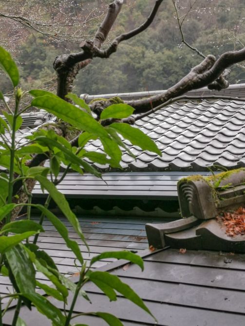  HOSHINOYA Kyoto - Hashizuku/Tanigasumi/Yamanoha