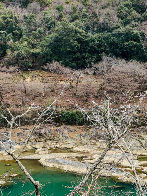  HOSHINOYA Kyoto - Hashizuku/Tanigasumi/Yamanoha