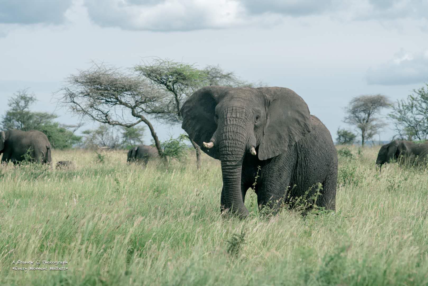 Four Seasons Safari Lodge, Serengeti