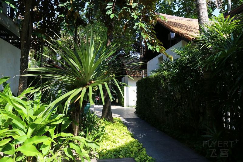 Koh Samui--Le Meridien Koh Samui Resort and Spa Courtyard (7).JPG