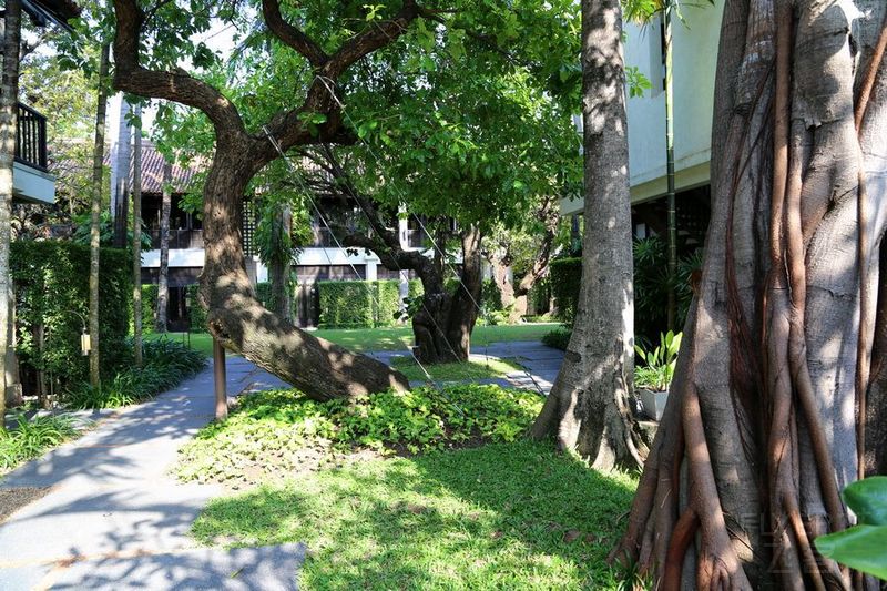 Koh Samui--Le Meridien Koh Samui Resort and Spa Courtyard (8).JPG