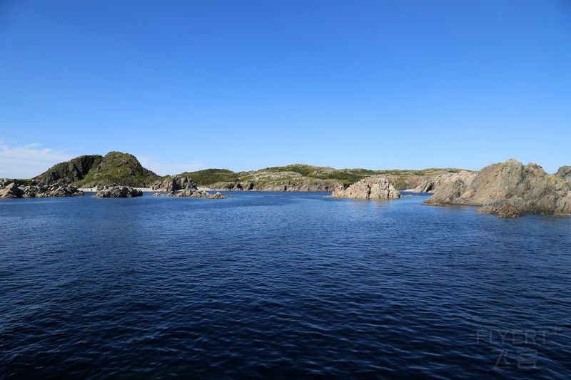 Newfoundland--Twillingate Iceberg Quest Cruise (13).JPG