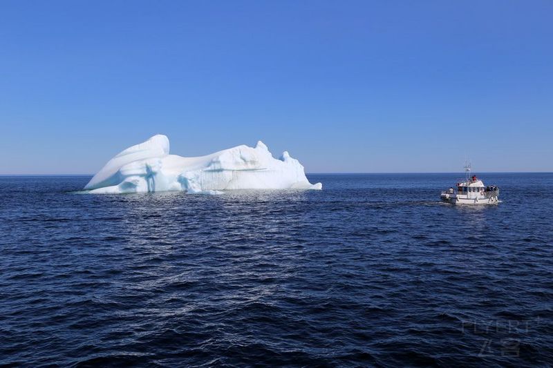 Newfoundland--Twillingate Iceberg Quest Cruise (14).JPG