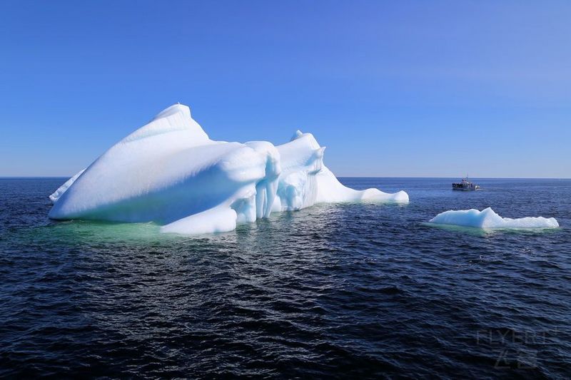 Newfoundland--Twillingate Iceberg Quest Cruise (16).JPG