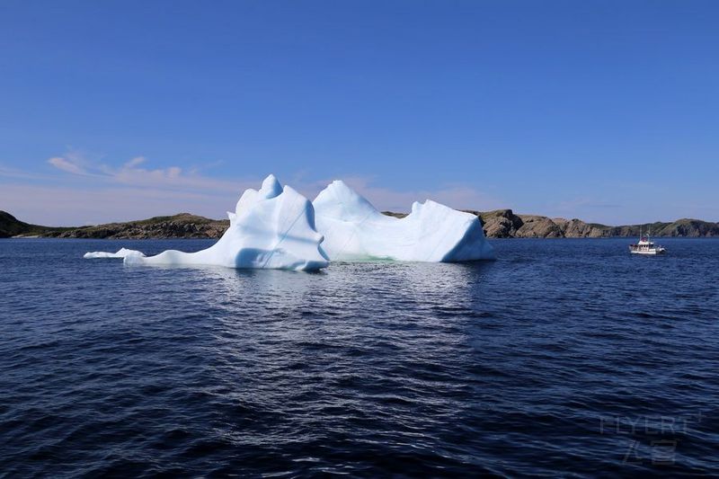 Newfoundland--Twillingate Iceberg Quest Cruise (19).JPG