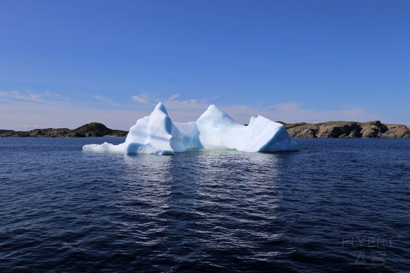 Newfoundland--Twillingate Iceberg Quest Cruise (18).JPG