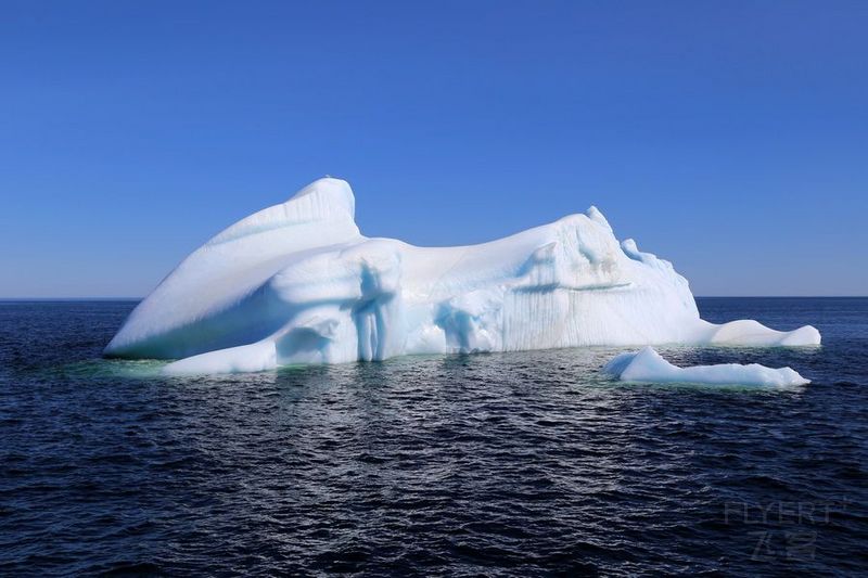 Newfoundland--Twillingate Iceberg Quest Cruise (15).JPG