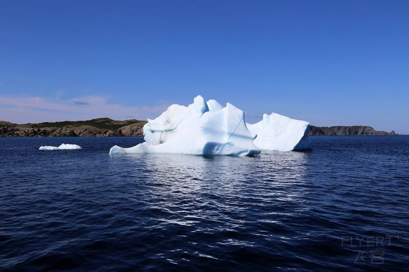 Newfoundland--Twillingate Iceberg Quest Cruise (21).JPG