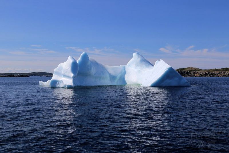 Newfoundland--Twillingate Iceberg Quest Cruise (17).JPG