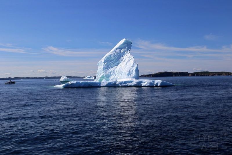 Newfoundland--Twillingate Iceberg Quest Cruise (27).JPG