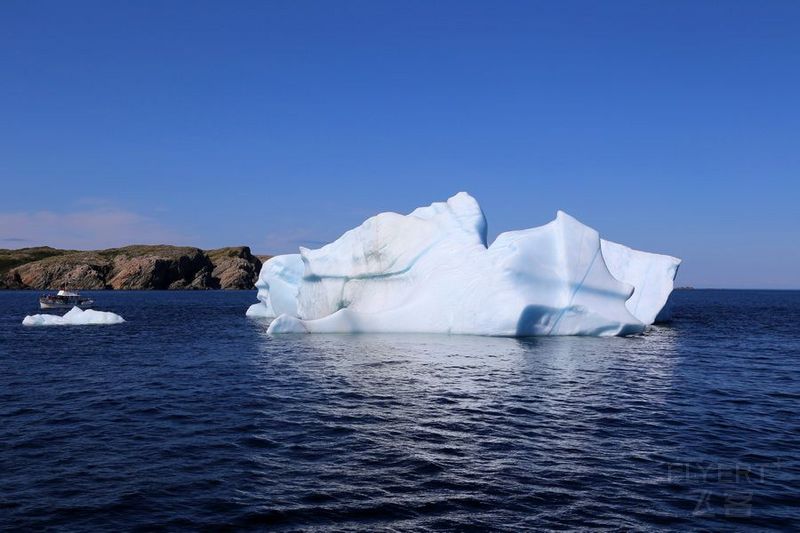 Newfoundland--Twillingate Iceberg Quest Cruise (22).JPG