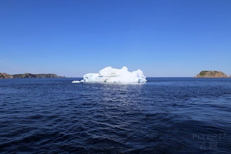 Newfoundland--Twillingate Iceberg Quest Cruise (24).JPG