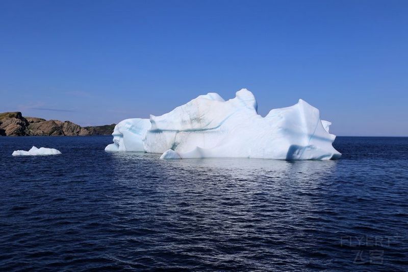 Newfoundland--Twillingate Iceberg Quest Cruise (23).JPG