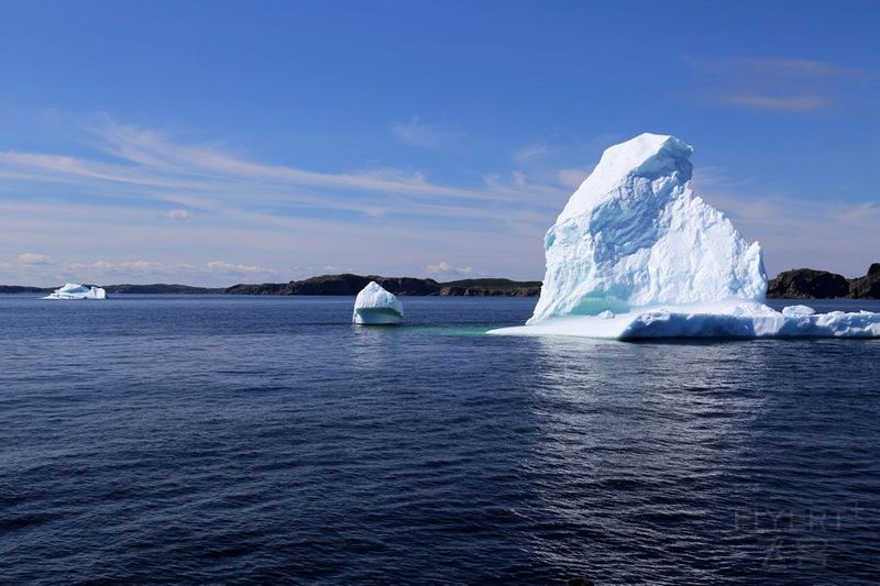 Newfoundland--Twillingate Iceberg Quest Cruise (29).JPG