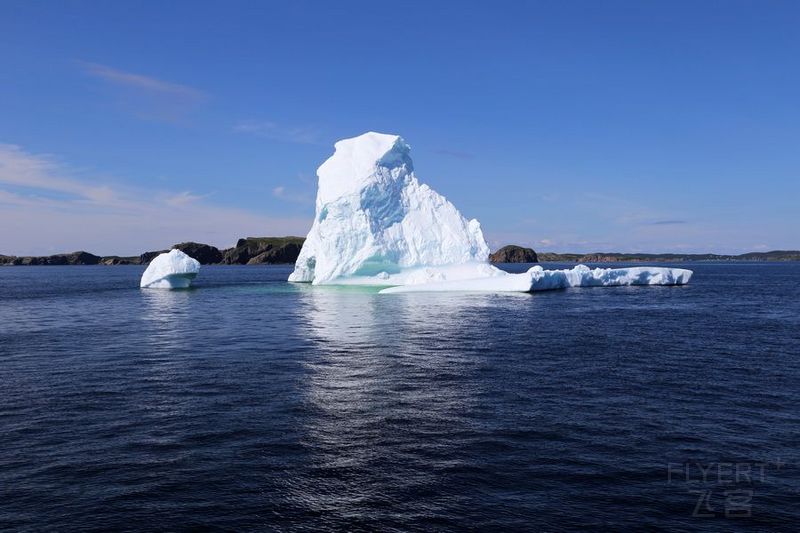 Newfoundland--Twillingate Iceberg Quest Cruise (31).JPG