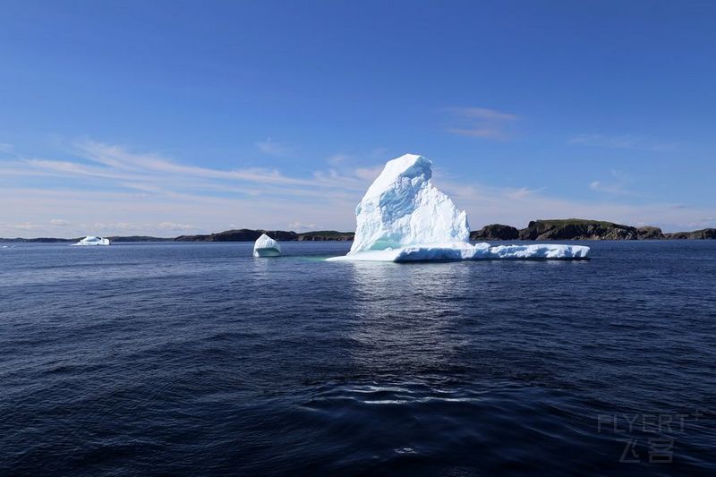 Newfoundland--Twillingate Iceberg Quest Cruise (30).JPG