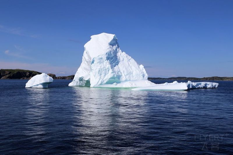 Newfoundland--Twillingate Iceberg Quest Cruise (32).JPG