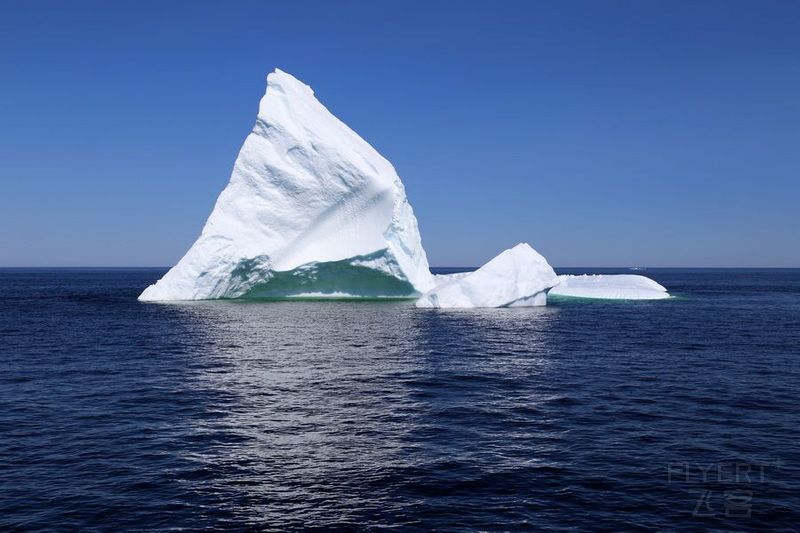Newfoundland--Twillingate Iceberg Quest Cruise (35).JPG