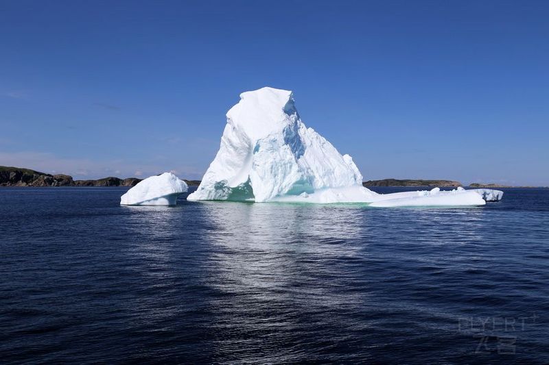 Newfoundland--Twillingate Iceberg Quest Cruise (33).JPG