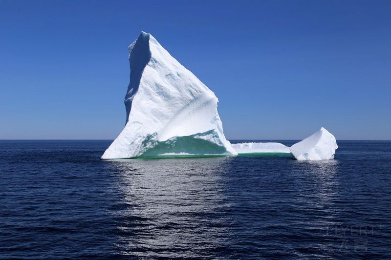 Newfoundland--Twillingate Iceberg Quest Cruise (36).JPG