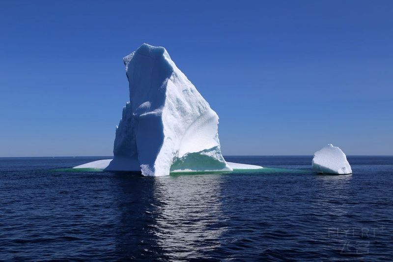 Newfoundland--Twillingate Iceberg Quest Cruise (37).JPG