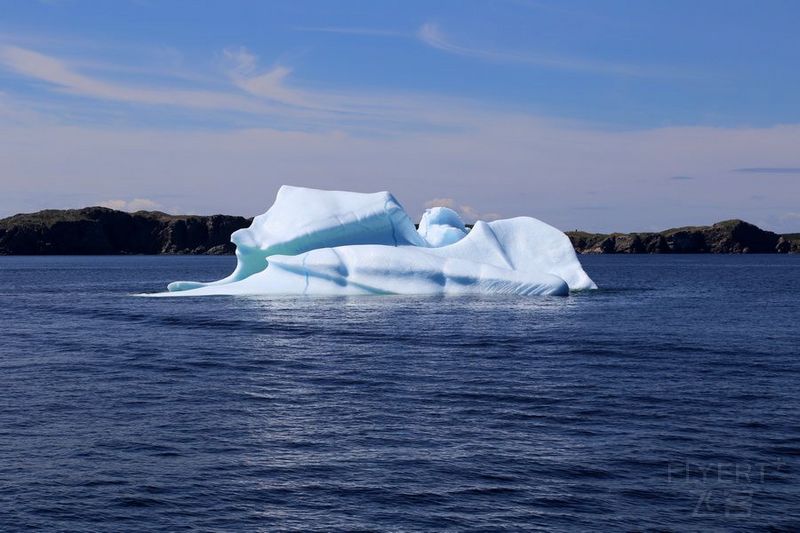 Newfoundland--Twillingate Iceberg Quest Cruise (38).JPG