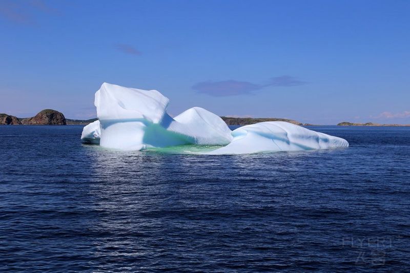 Newfoundland--Twillingate Iceberg Quest Cruise (41).JPG