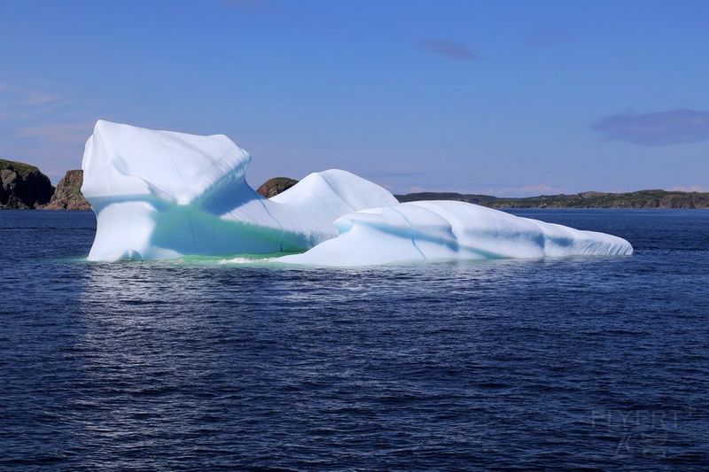 Newfoundland--Twillingate Iceberg Quest Cruise (40).JPG
