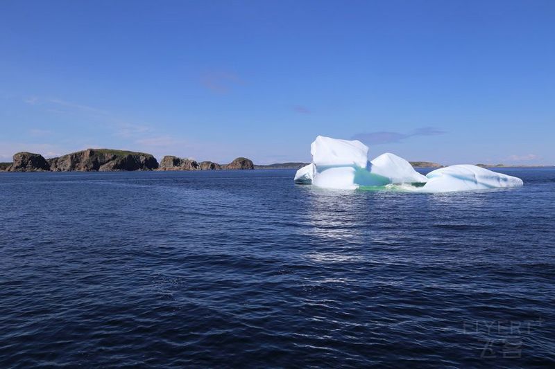 Newfoundland--Twillingate Iceberg Quest Cruise (42).JPG