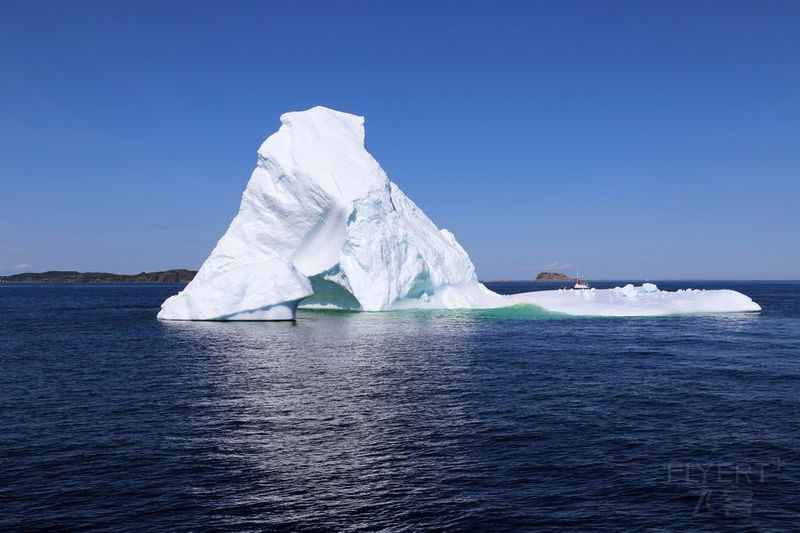 Newfoundland--Twillingate Iceberg Quest Cruise (34).JPG