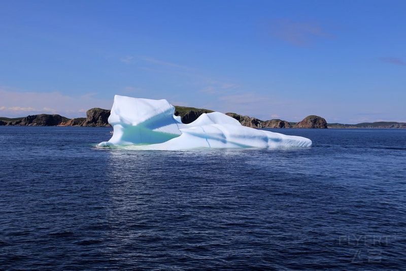 Newfoundland--Twillingate Iceberg Quest Cruise (39).JPG