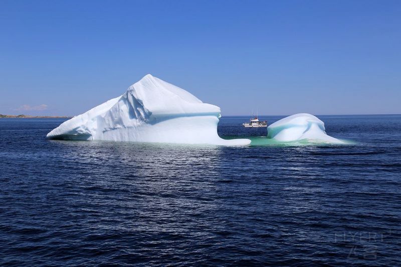 Newfoundland--Twillingate Iceberg Quest Cruise (43).JPG