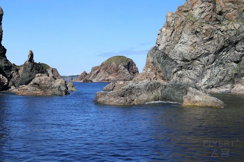 Newfoundland--Twillingate Iceberg Quest Cruise (57).JPG