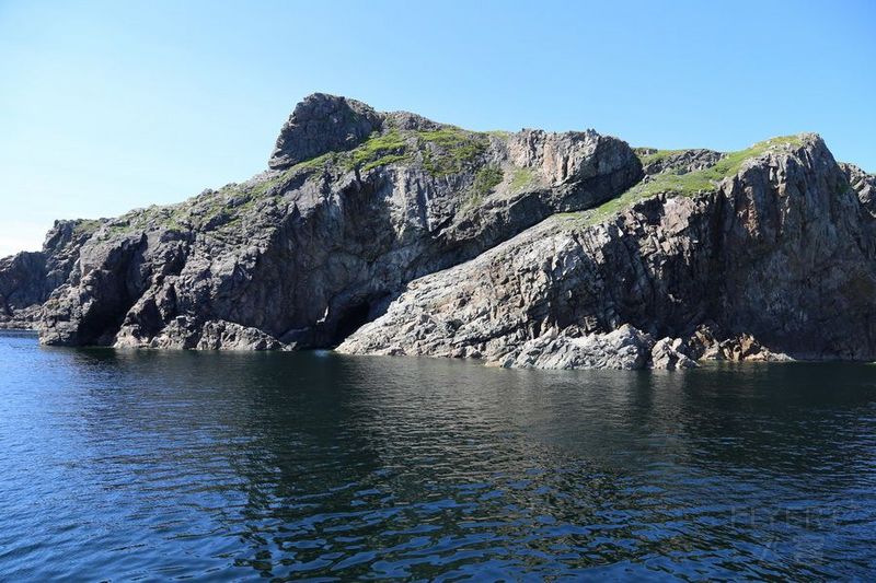 Newfoundland--Twillingate Iceberg Quest Cruise (56).JPG