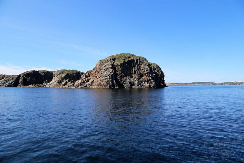 Newfoundland--Twillingate Iceberg Quest Cruise (73).JPG