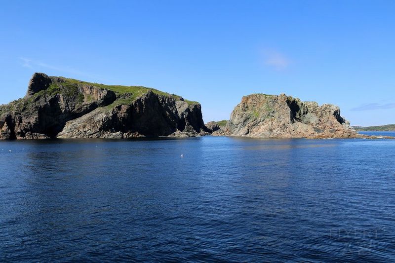 Newfoundland--Twillingate Iceberg Quest Cruise (51).JPG