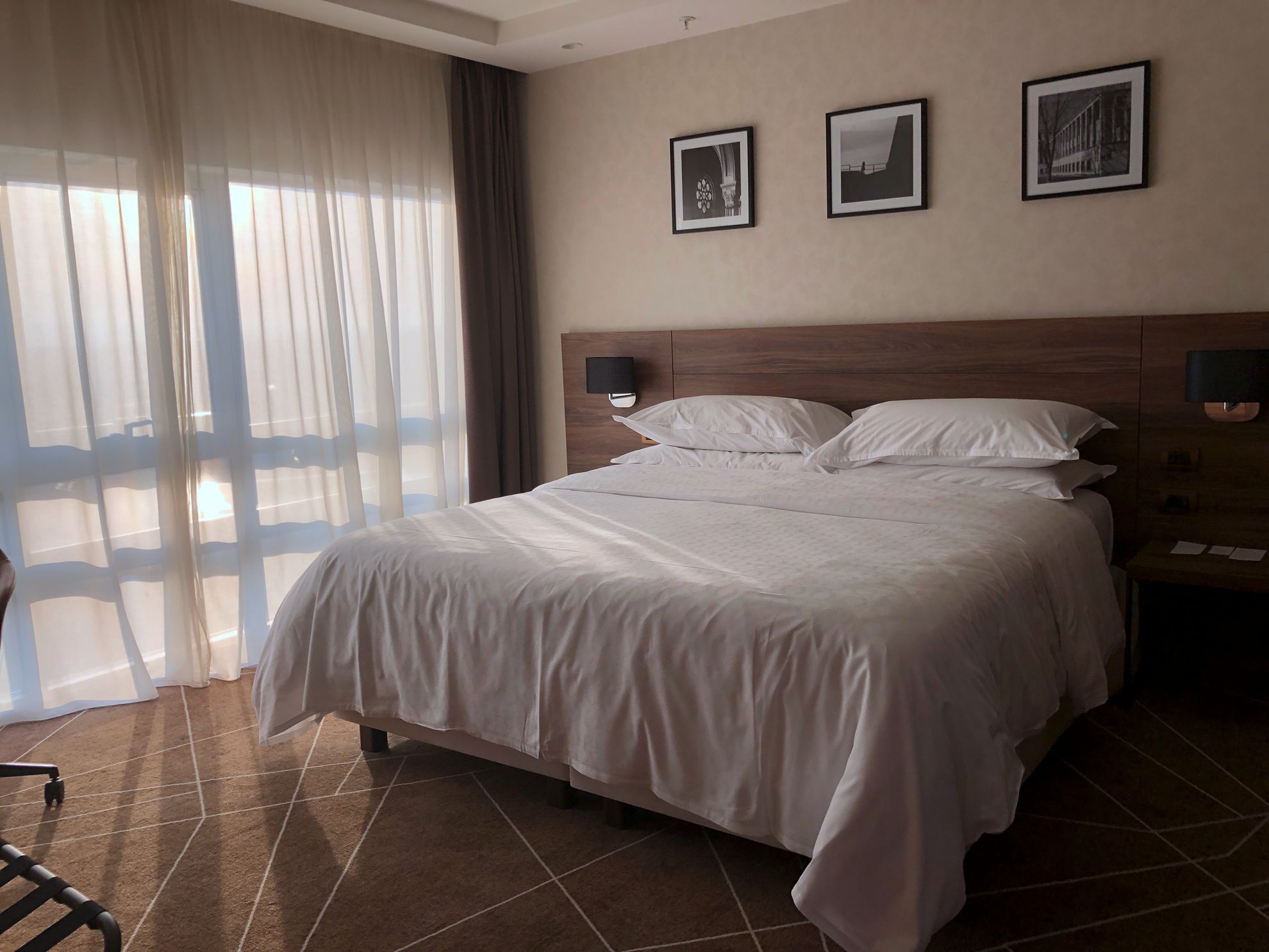 Ͷ ԼеϵŵάϲǣSheraton Novi Sad