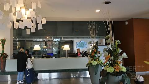 IMG_20191003_122057.jpg