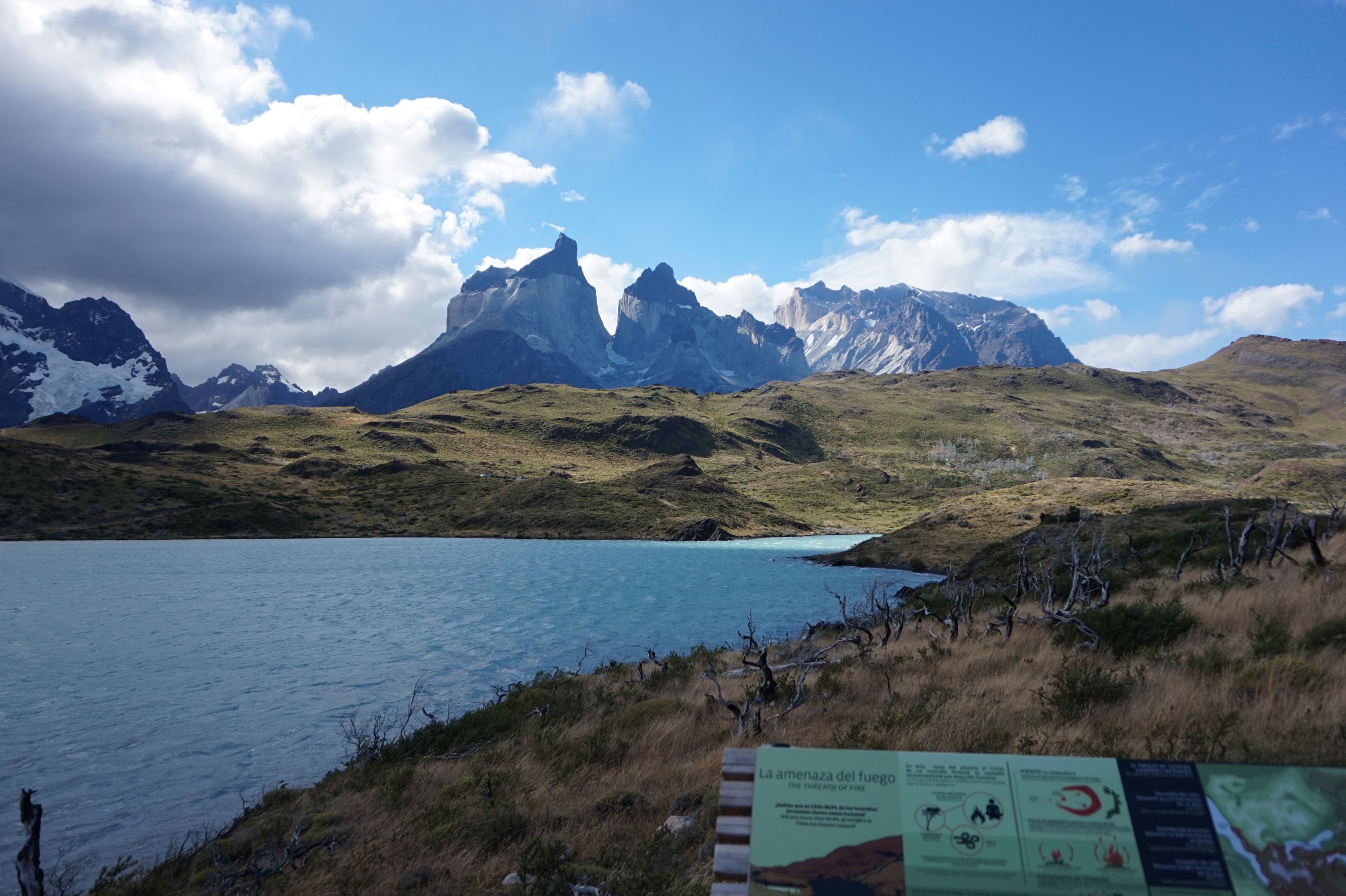 ǷµReportƪͷ Ĵۿ Singular Patagonia