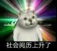 ɶʱû룿