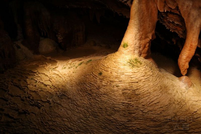 Virginia--Shenandoah Cavern (45).JPG