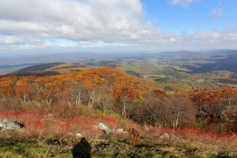 Shenandoah National Park (28).JPG