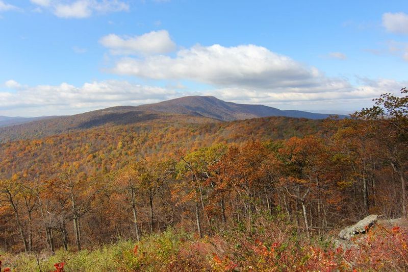 Shenandoah National Park (17).JPG