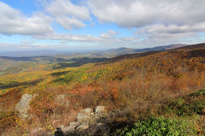 Shenandoah National Park (21).JPG