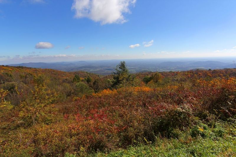 Shenandoah National Park (15).JPG