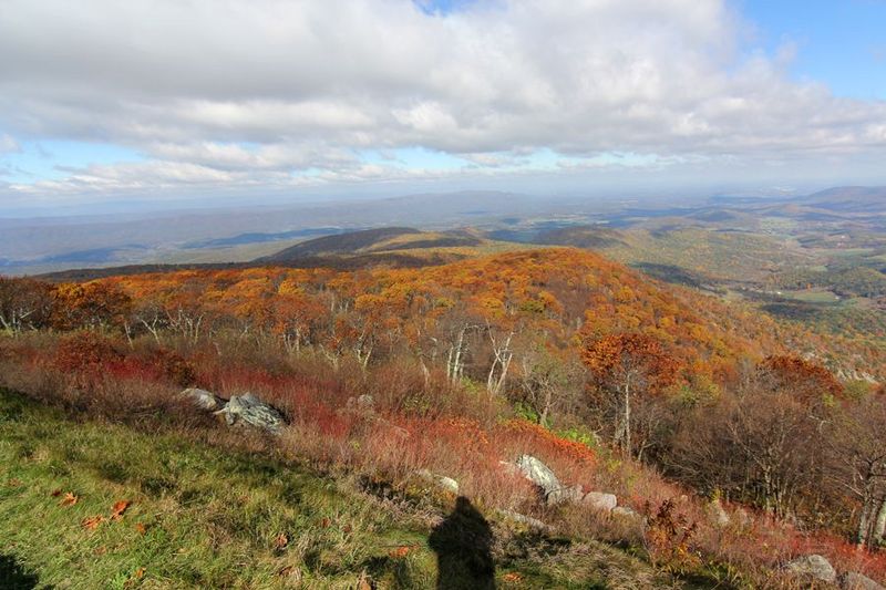 Shenandoah National Park (27).JPG