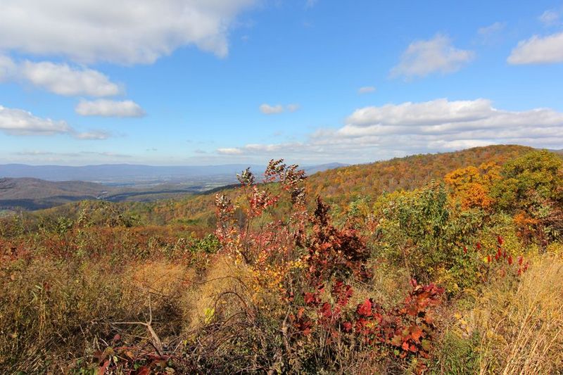 Shenandoah National Park (49).JPG