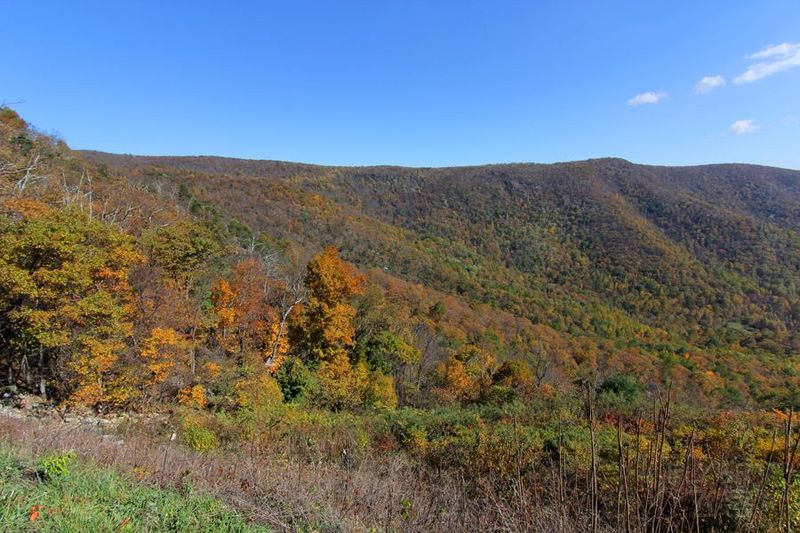 Shenandoah National Park (53).JPG