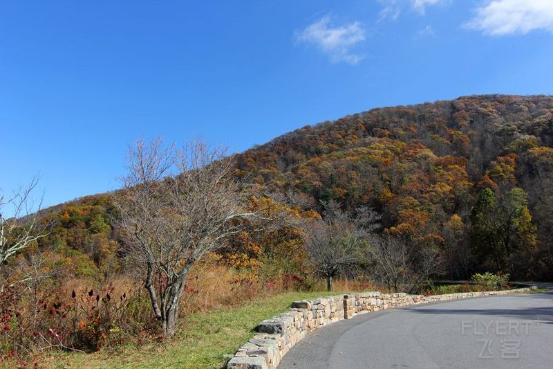 Shenandoah National Park (46).JPG